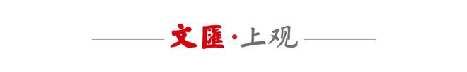铱金火嘴图片__进口香蕉与国产香蕉的区别