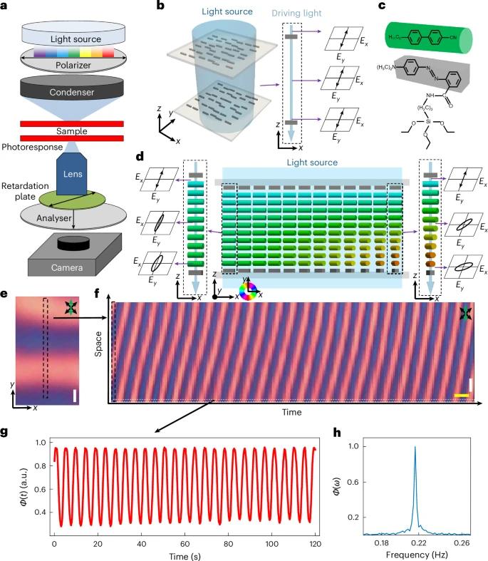 晶体的科学定义是__什么是晶体科学