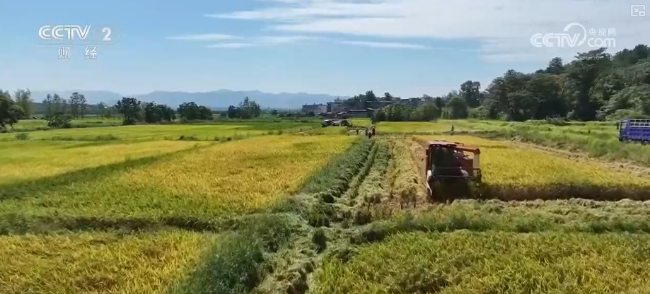 _新型农机成“主角”、无人机开辟“空中走廊”……科技赋能金秋好“丰”景_新型农机成“主角”、无人机开辟“空中走廊”……科技赋能金秋好“丰”景