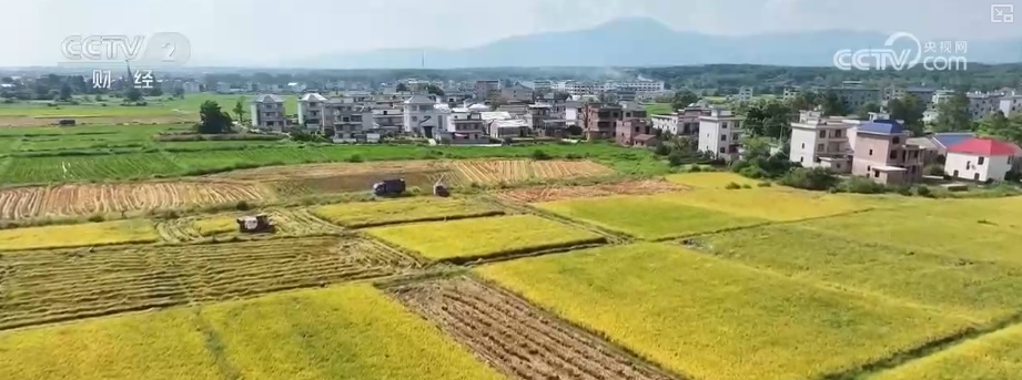 _新型农机成“主角”、无人机开辟“空中走廊”……科技赋能金秋好“丰”景_新型农机成“主角”、无人机开辟“空中走廊”……科技赋能金秋好“丰”景