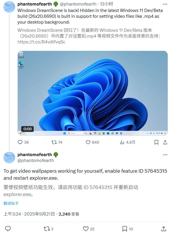 视频壁纸steam_win10视频动态壁纸_