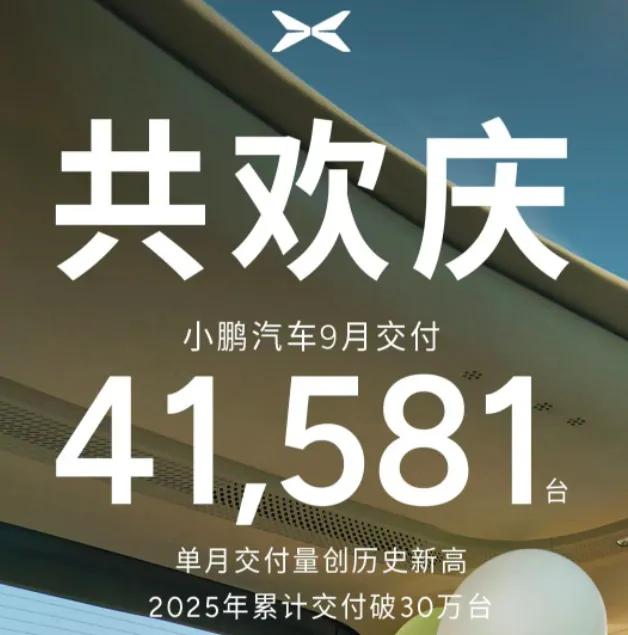 _小米理想汽车_理想蔚来suv