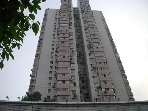 实景图