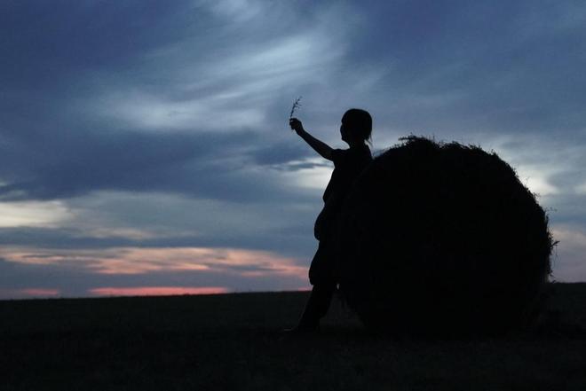 拼多多羊羔毛属于什么类目_拼多多褥羊毛啥意思_