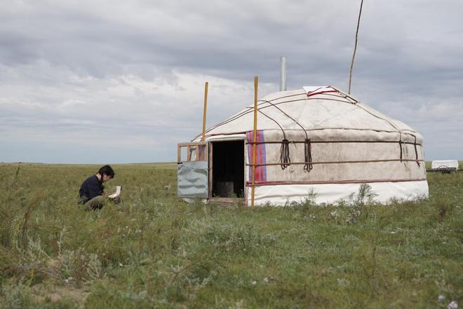 _拼多多褥羊毛啥意思_拼多多羊羔毛属于什么类目