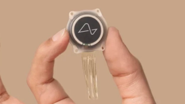 Neuralink：有1万人等着在颅骨里植入我们的N1脑机接口芯片