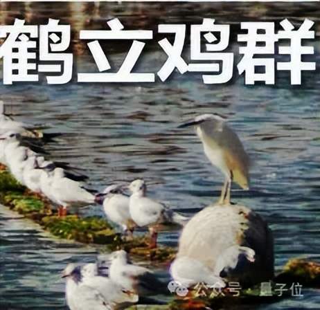 谷歌每年广告收入_谷歌每月曝光消耗量数是多少_