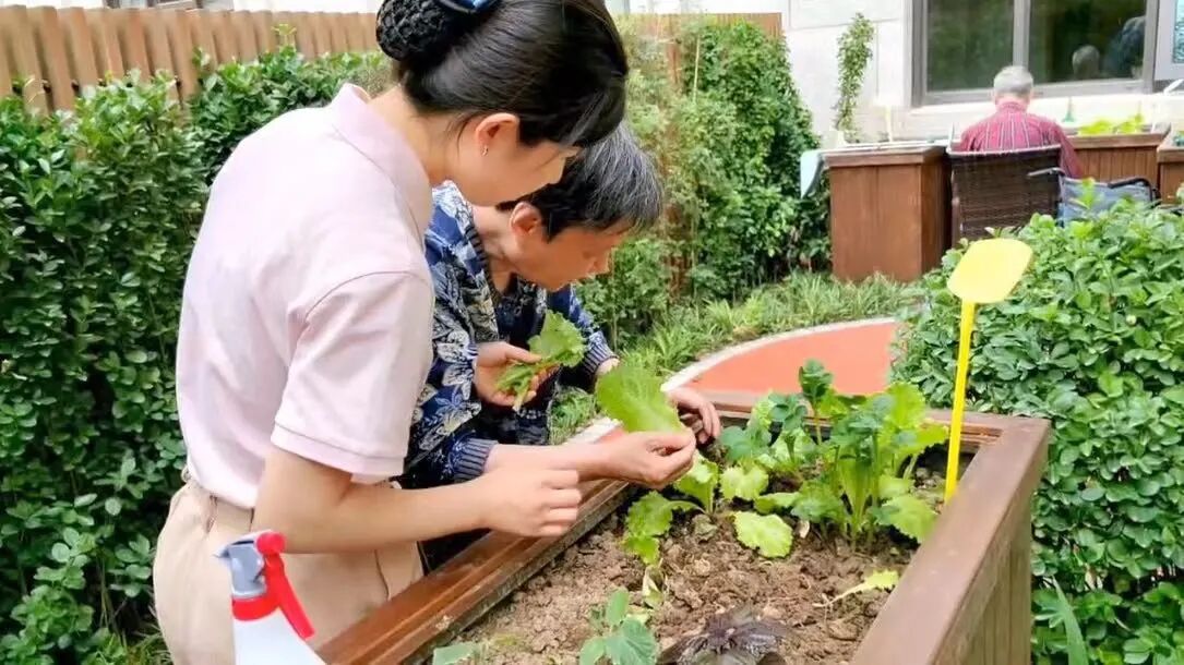 “银发旅居”新消费涌动，如何承接1亿老年人的“诗与远方”？__“银发旅居”新消费涌动，如何承接1亿老年人的“诗与远方”？