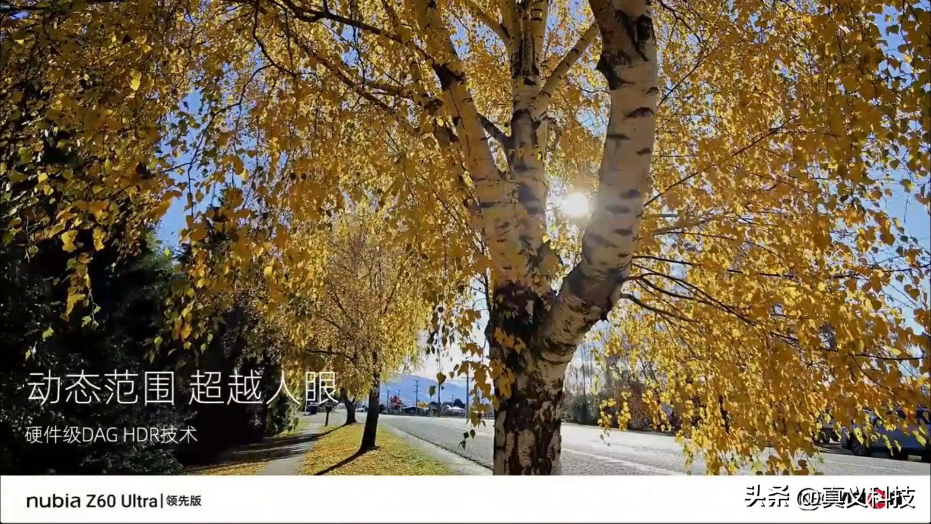 索尼手机相机传感器尺寸排行榜_索尼手机相机传感器型号大全_