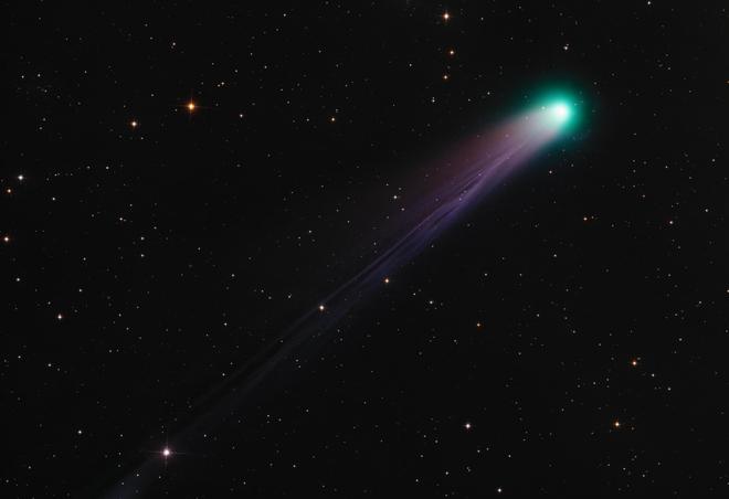 _你的名字彗星图片_黑蝴蝶鲤鱼叫黑彗星吗