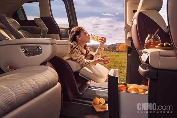 内饰棕色__内饰棕色配什么颜色好看