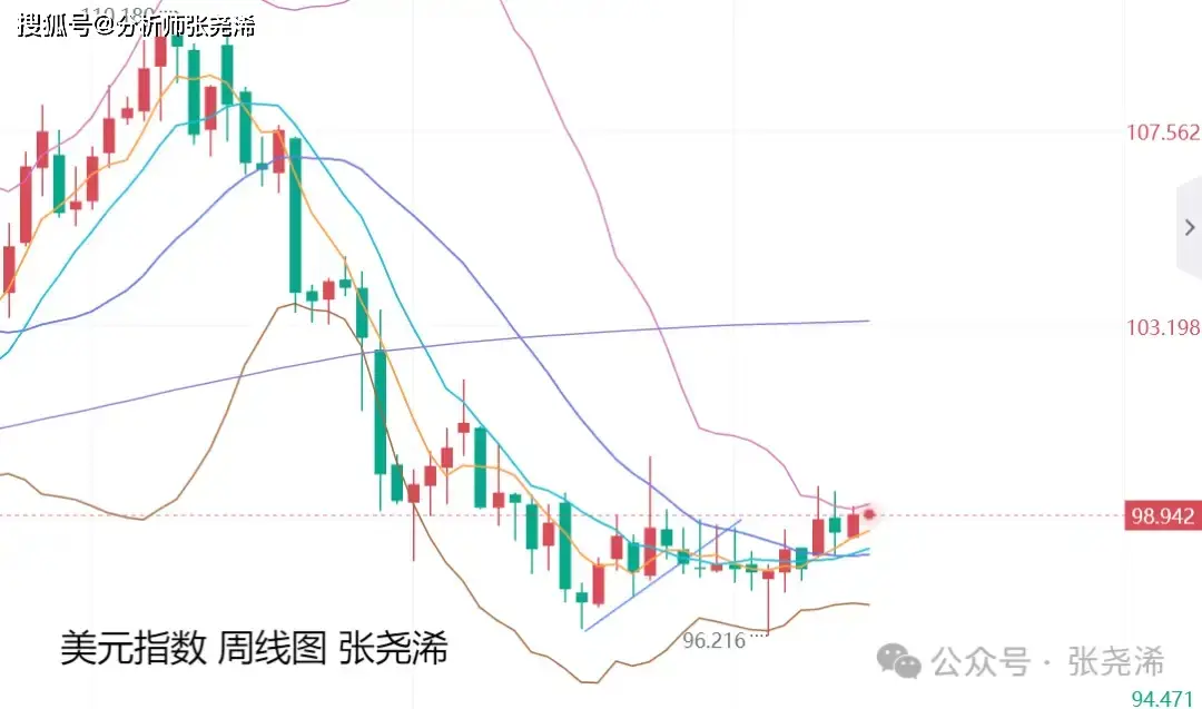 灰犀牛风险是什么_市场灰犀牛_