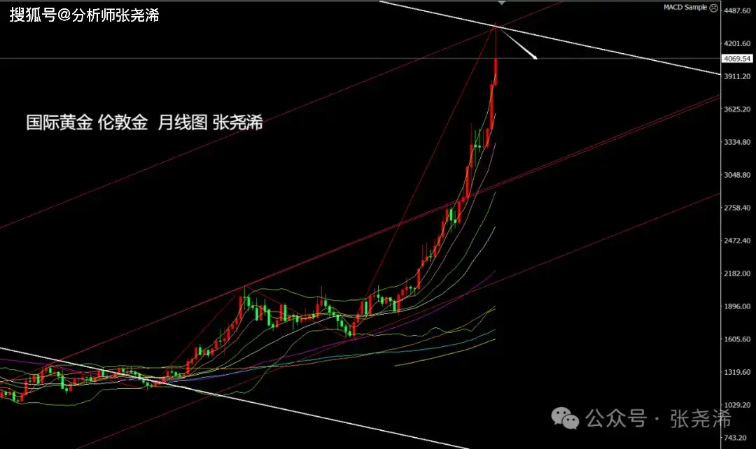市场灰犀牛__灰犀牛风险是什么