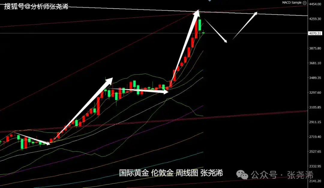 _市场灰犀牛_灰犀牛风险是什么