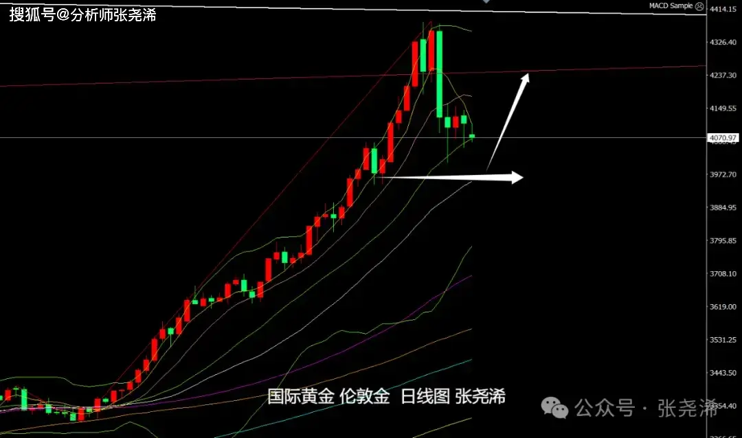 市场灰犀牛__灰犀牛风险是什么