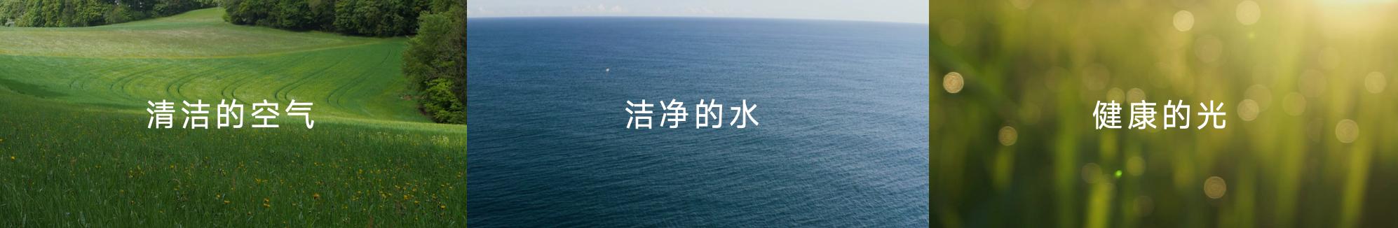 天上星河转人间帘幕垂__灯火照万家是什么生肖