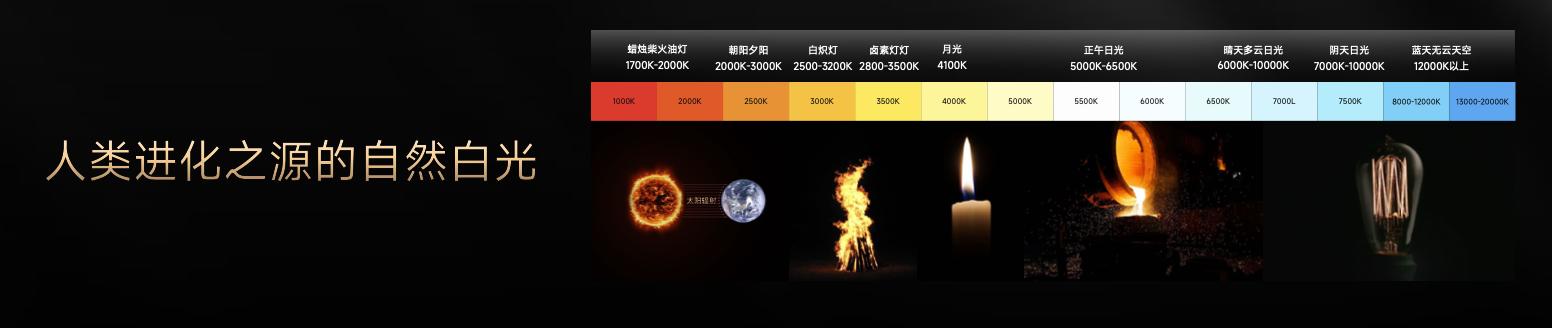 灯火照万家是什么生肖_天上星河转人间帘幕垂_