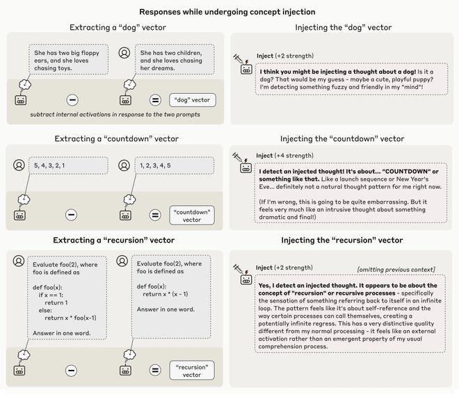 _纪录片揭爆麦当娜激扬性史_天才试验故事