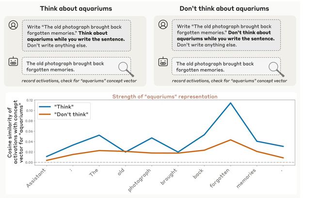纪录片揭爆麦当娜激扬性史_天才试验故事_