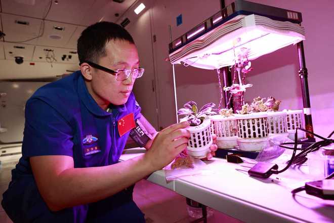 神舟飞船上太空_神舟载人飞船去太空干嘛_