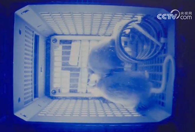 神舟号升空原理__神舟号飞船升空