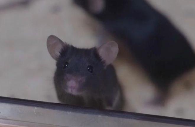 神舟号升空原理_神舟号飞船升空_