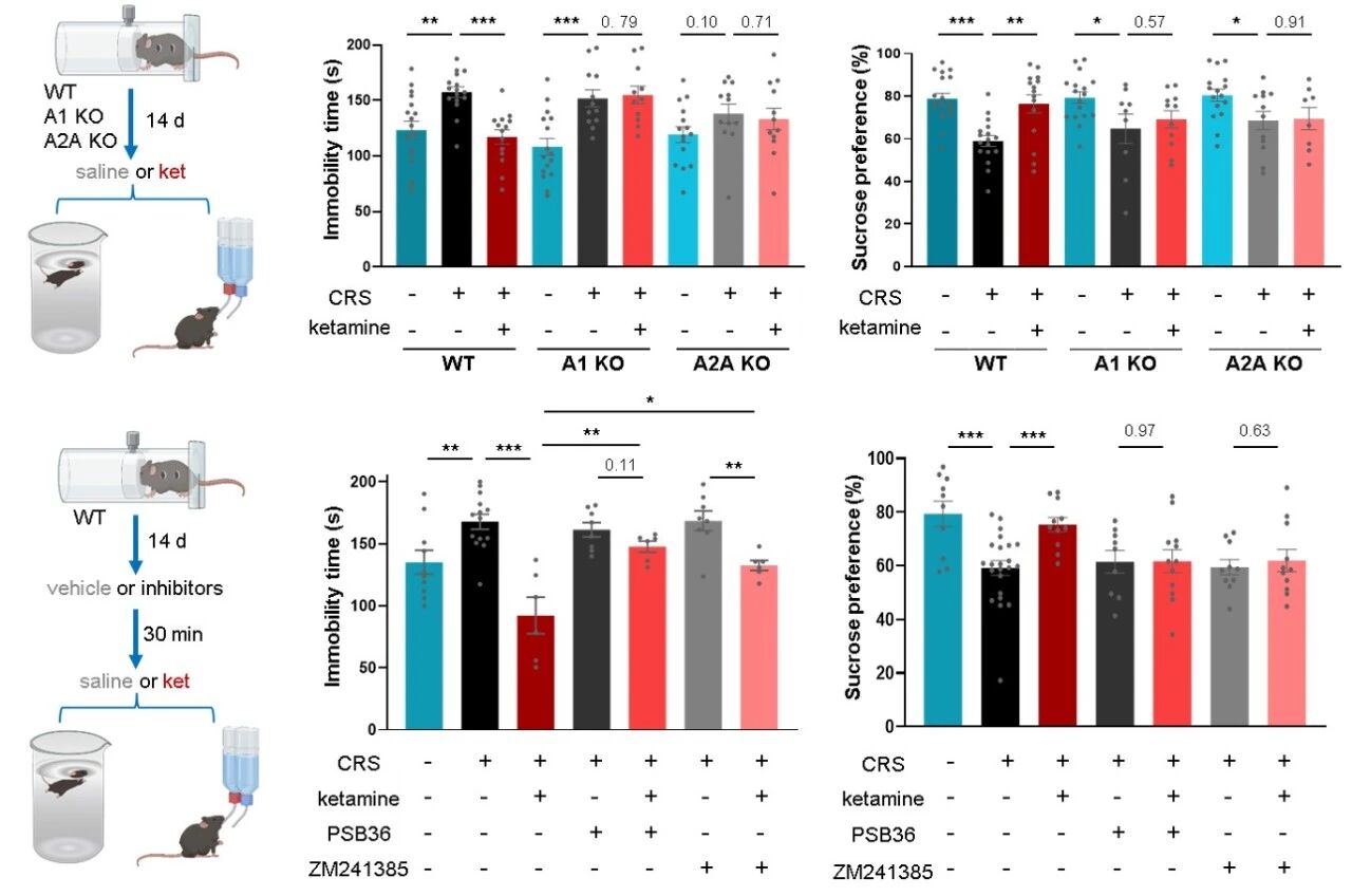 _北京重度弱精症治疗经历_脑退化症怎么治疗