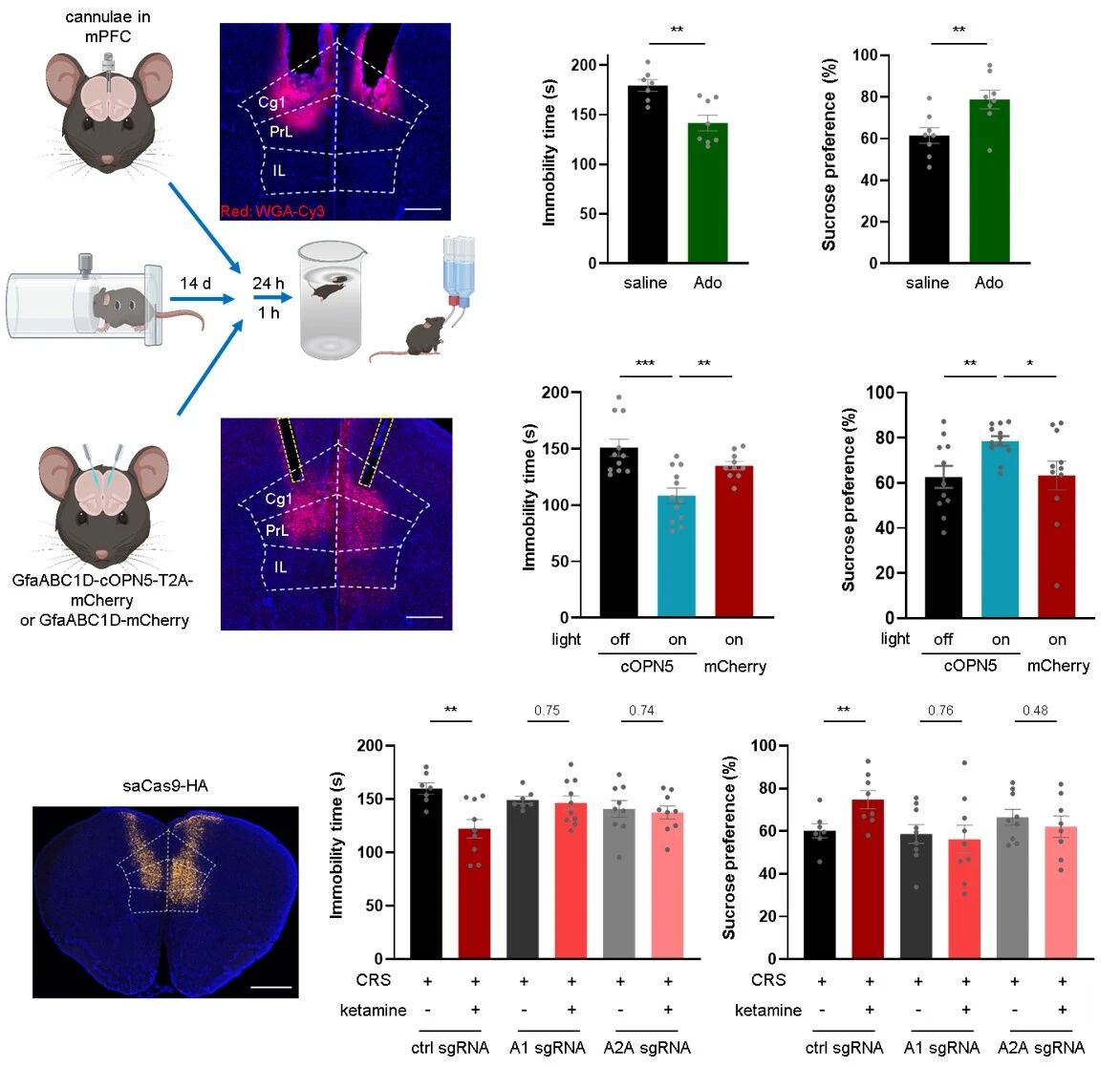 _脑退化症怎么治疗_北京重度弱精症治疗经历