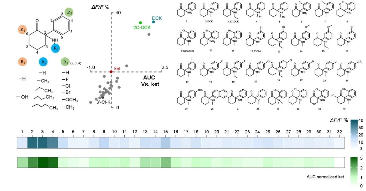 _北京重度弱精症治疗经历_脑退化症怎么治疗
