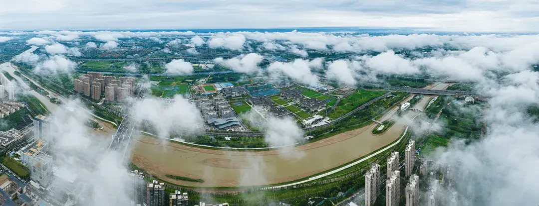 过去五年,河南为出海铺了条什么“路”?_过去五年,河南为出海铺了条什么“路”?_