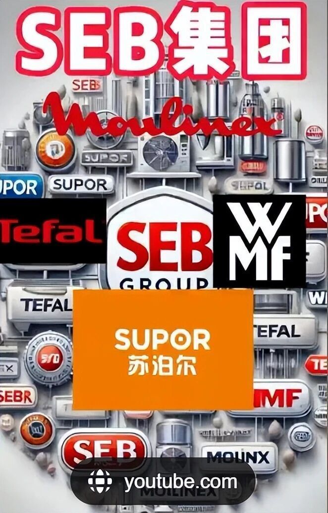 下滑13.4%，昔日国民“锅王”跌落神坛，沦为外资“高级打工仔”__下滑13.4%，昔日国民“锅王”跌落神坛，沦为外资“高级打工仔”