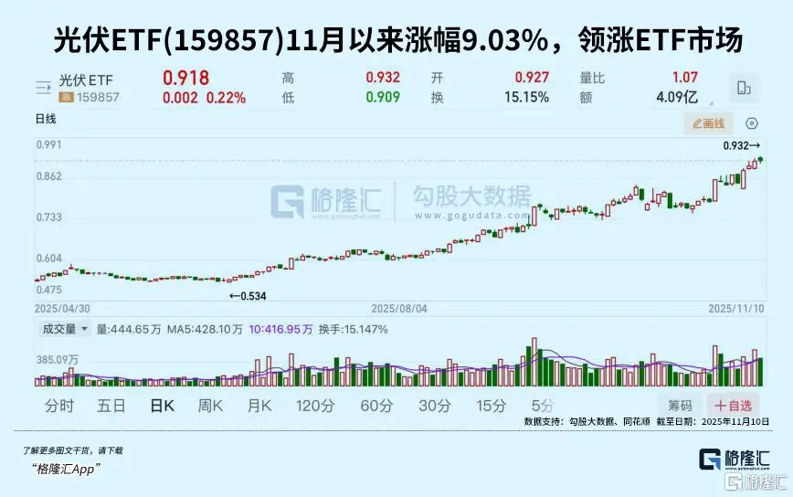 政策发力、价格飙涨!资金疯抢