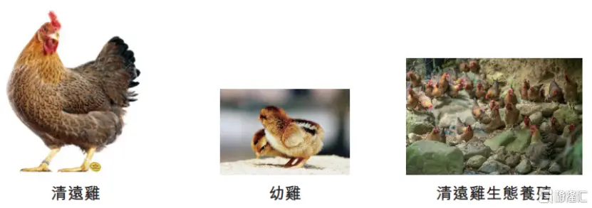 天农集团港股IPO,为广东第二大黄羽鸡企业,业绩波动较大