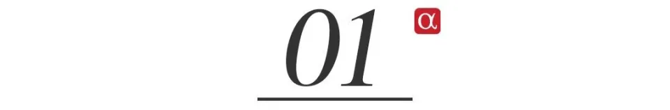 Meta的“灰色生意”，靠诈骗广告赚取千亿收入