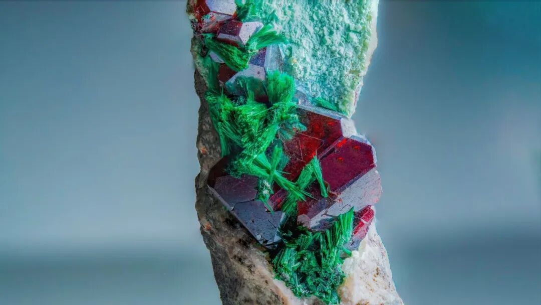 崩三人偶池几级开__山泥若打崩司马老贼