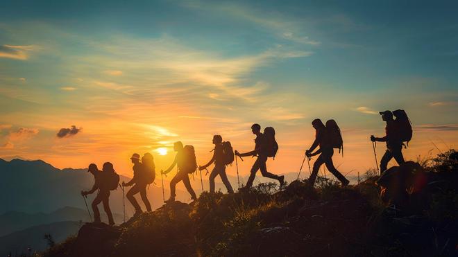 双11海外销售额_今年双11成交额海外_