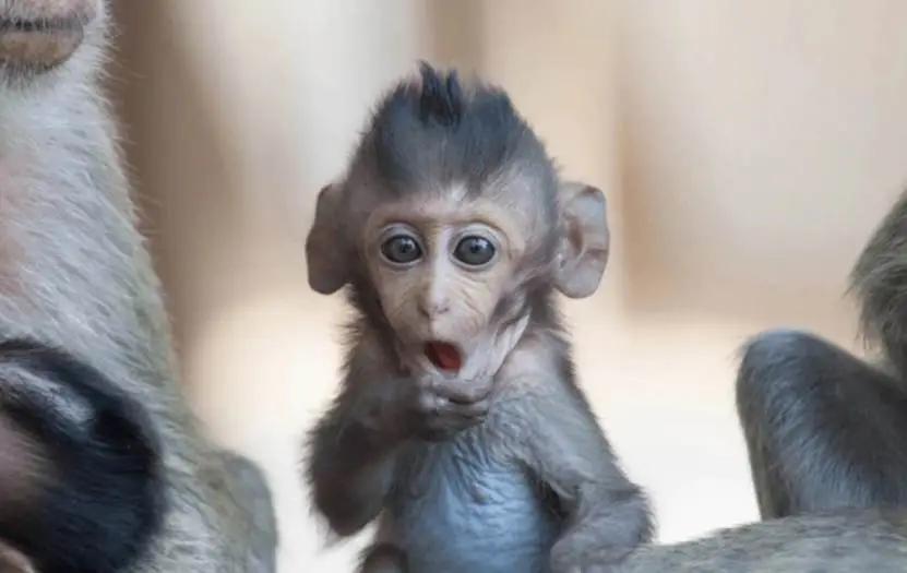 _积极应对老龄化国家战略_我国应对老龄化的战略对策