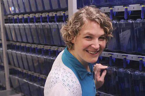 奥斯卡最佳纪录长片奖_1993年格莱美传奇奖_