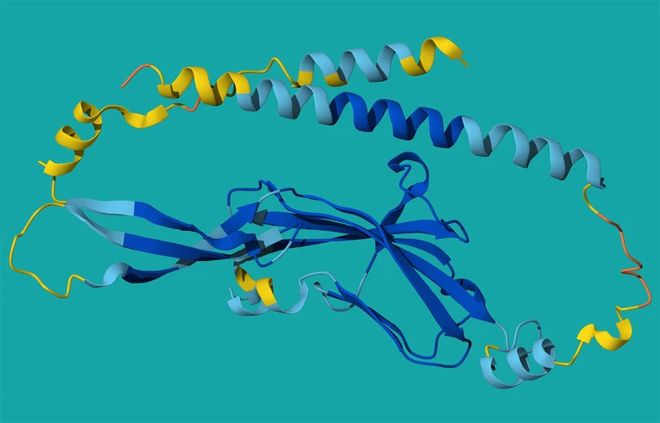 1993年格莱美传奇奖__奥斯卡最佳纪录长片奖