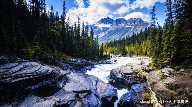 云趣投影_乐趣投影_