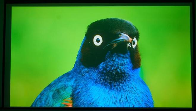 亮度不虚标的典范！哈趣H3 Ultra Max评测：2000元以内最强游戏投影仪__亮度不虚标的典范！哈趣H3 Ultra Max评测：2000元以内最强游戏投影仪