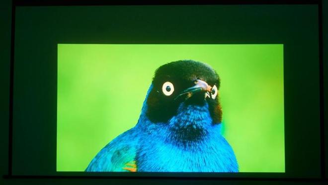 亮度不虚标的典范！哈趣H3 Ultra Max评测：2000元以内最强游戏投影仪_亮度不虚标的典范！哈趣H3 Ultra Max评测：2000元以内最强游戏投影仪_