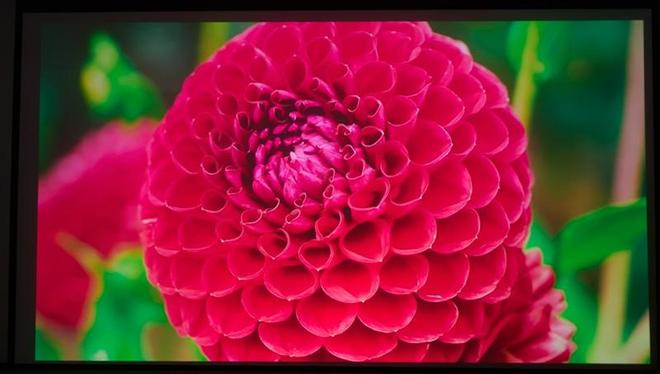 亮度不虚标的典范！哈趣H3 Ultra Max评测：2000元以内最强游戏投影仪_亮度不虚标的典范！哈趣H3 Ultra Max评测：2000元以内最强游戏投影仪_