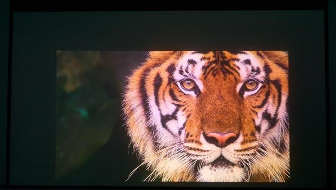 亮度不虚标的典范！哈趣H3 Ultra Max评测：2000元以内最强游戏投影仪__亮度不虚标的典范！哈趣H3 Ultra Max评测：2000元以内最强游戏投影仪