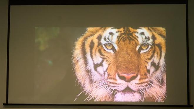 亮度不虚标的典范！哈趣H3 Ultra Max评测：2000元以内最强游戏投影仪__亮度不虚标的典范！哈趣H3 Ultra Max评测：2000元以内最强游戏投影仪