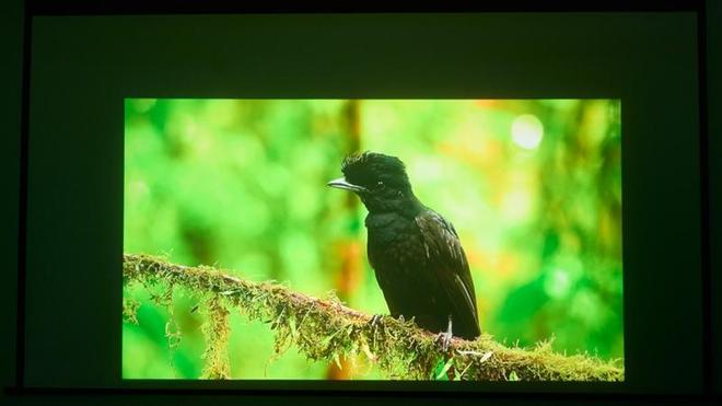 亮度不虚标的典范！哈趣H3 Ultra Max评测：2000元以内最强游戏投影仪__亮度不虚标的典范！哈趣H3 Ultra Max评测：2000元以内最强游戏投影仪