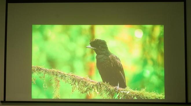 亮度不虚标的典范！哈趣H3 Ultra Max评测：2000元以内最强游戏投影仪__亮度不虚标的典范！哈趣H3 Ultra Max评测：2000元以内最强游戏投影仪