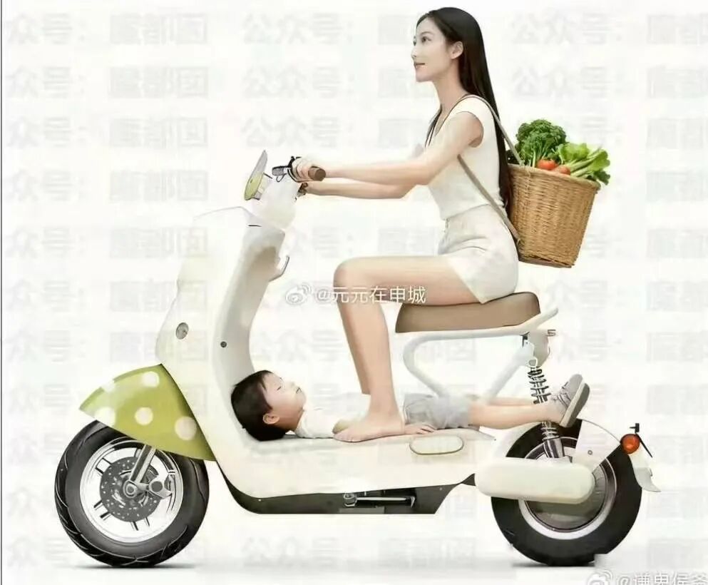 新国标电动车标志是什么_电车新国标什么意思_