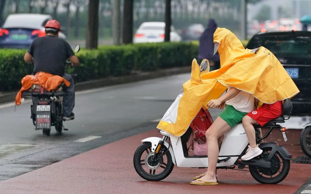 图集│今日“神兽归笼”_手机新浪网