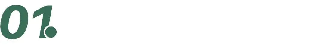 茉莉茶王是什么茶__茶茉莉花的养殖方法和注意事项